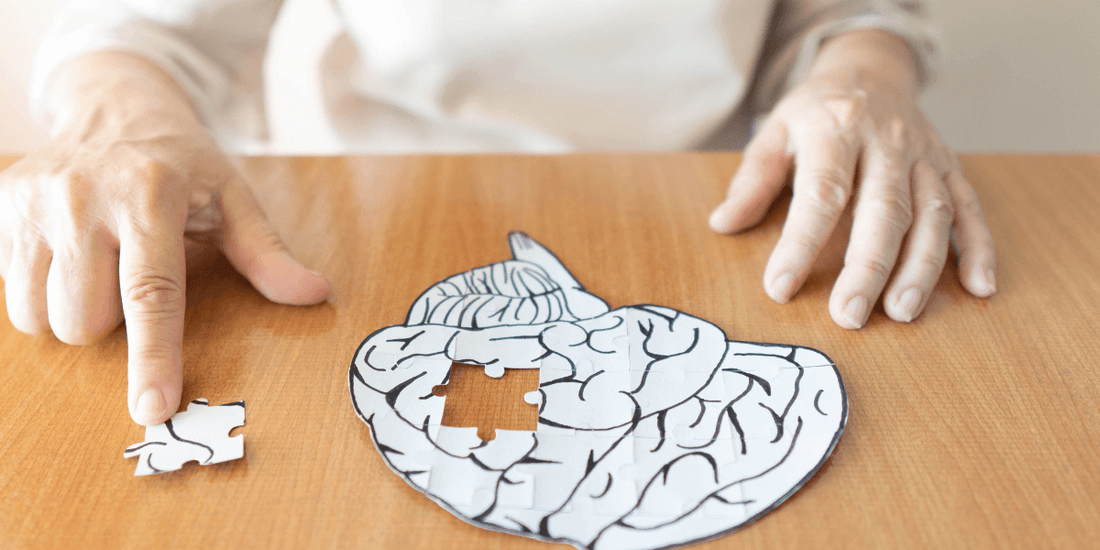 What is the Difference Between Dementia and Alzheimer’s Disease?