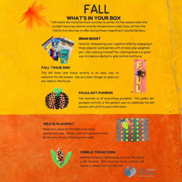 Fall Individual Activity Box