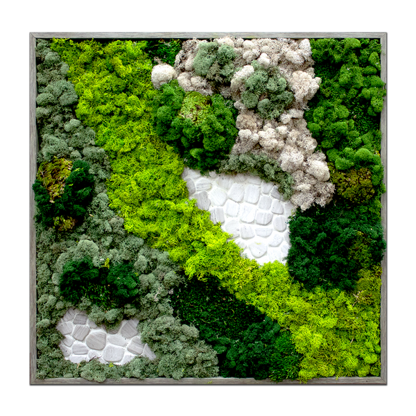 Moss Garden