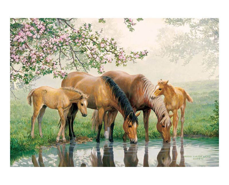 35 Piece Tray Puzzle