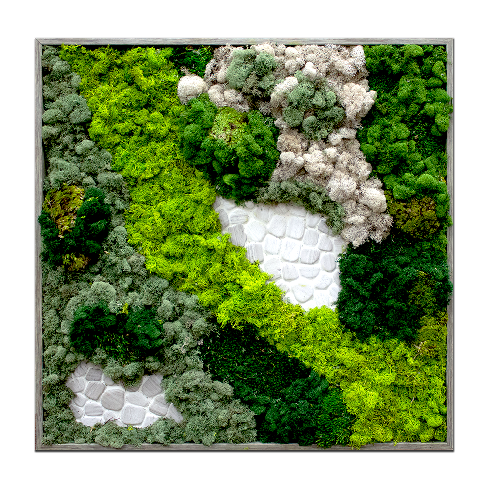 Moss Garden