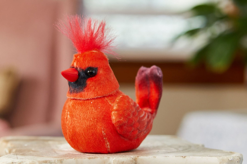 Walker Squawker